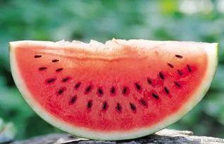 丁山吃大瓜,畅享夏日大瓜盛宴 第2张 丁山吃大瓜,畅享夏日大瓜盛宴 第2张